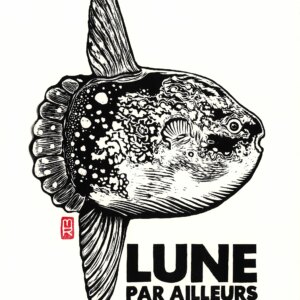 Lune par ailleurs